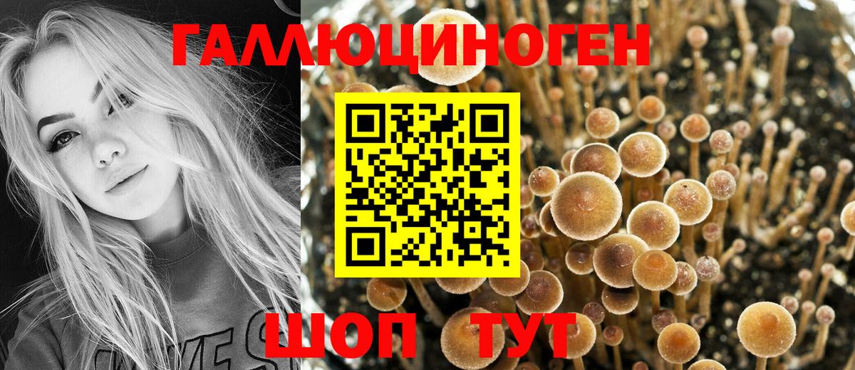 Лениногорск  Галлюциногенные грибы Psilocybe  Вход с VPN 