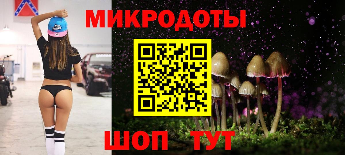 Псилоцибиновые грибы мицелий Лениногорск